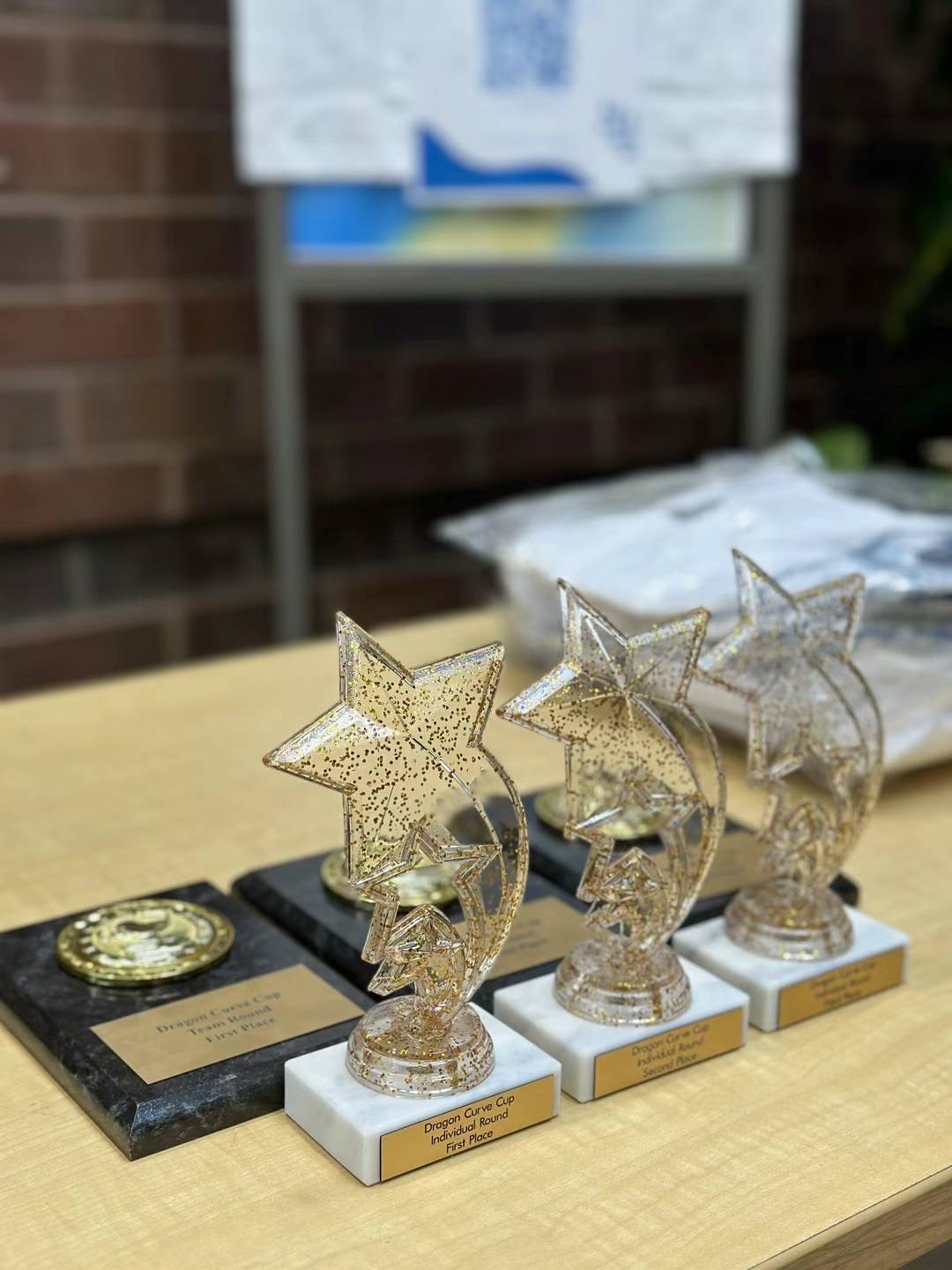 Dragon Curve Cup 2024